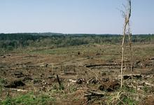 Taller de debate sobre el cambio climático organizado por Ciencias Humanas