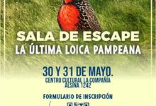 Primera sala de escape científica: “La última Loica Pampeana”