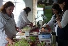 Jornada de actividades de ciencia y técnica en Agronomía