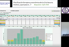 Docentes de Veterinarias coordinan curso virtual de ganadería