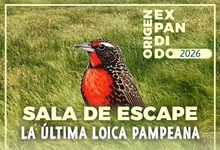 Primera sala de escape científica: “La última Loica Pampeana”