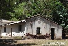 Actividades en el marco del Juicio por la causa de Monte Pelloni