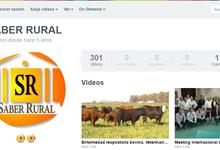 Nutrición en vacas de crías: Aportes de Veterinarias de UNICEN