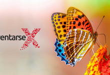 “Reinventarse”, segundo TEDx Olavarría
