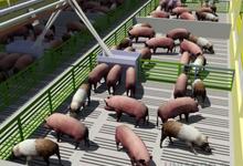 Destacan y financian software desarrollado en Veterinarias